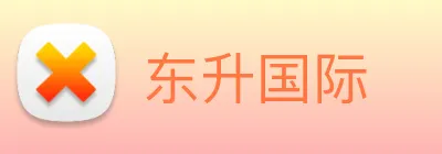 东升国际 logo